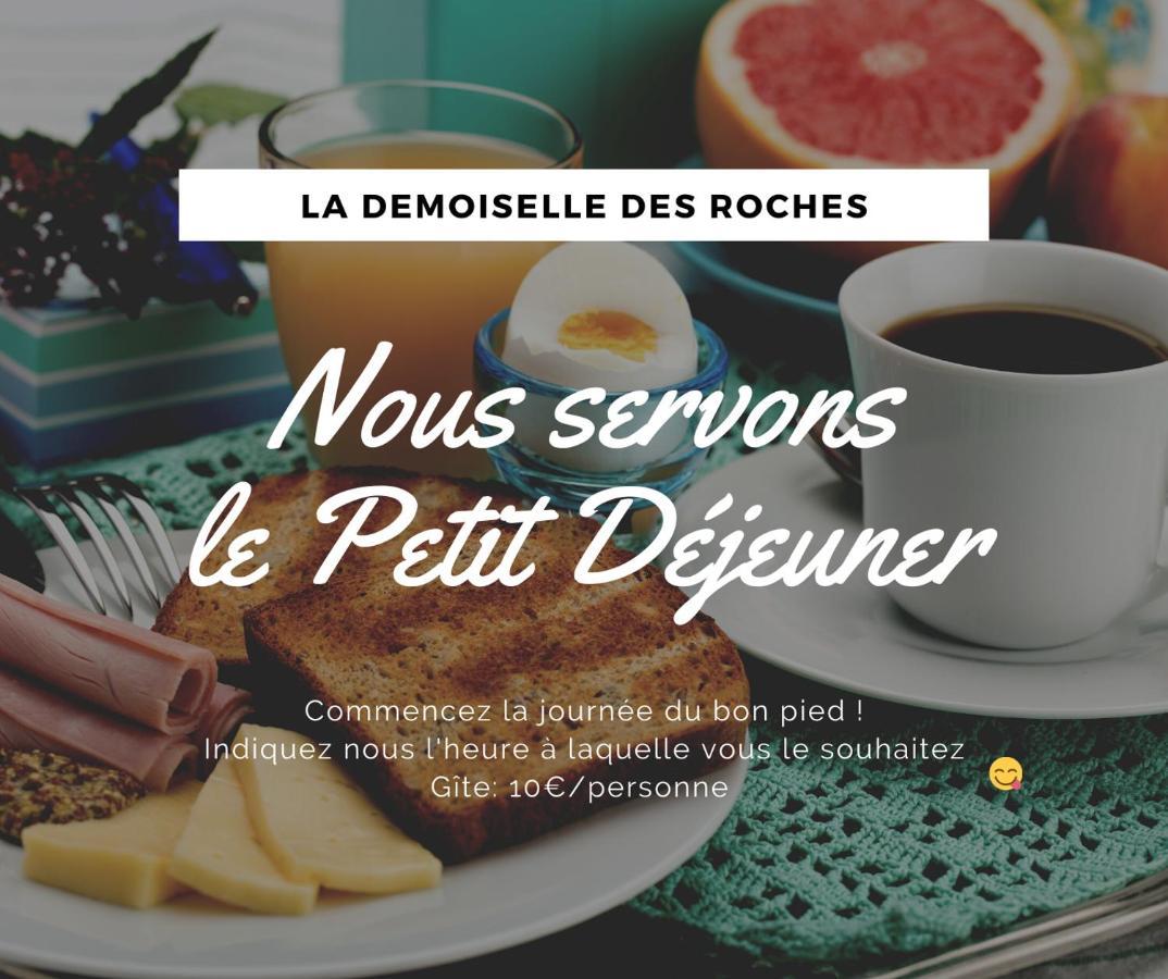 Ferienwohnung Demoiselle des Roches Ramonchamp Exterior foto