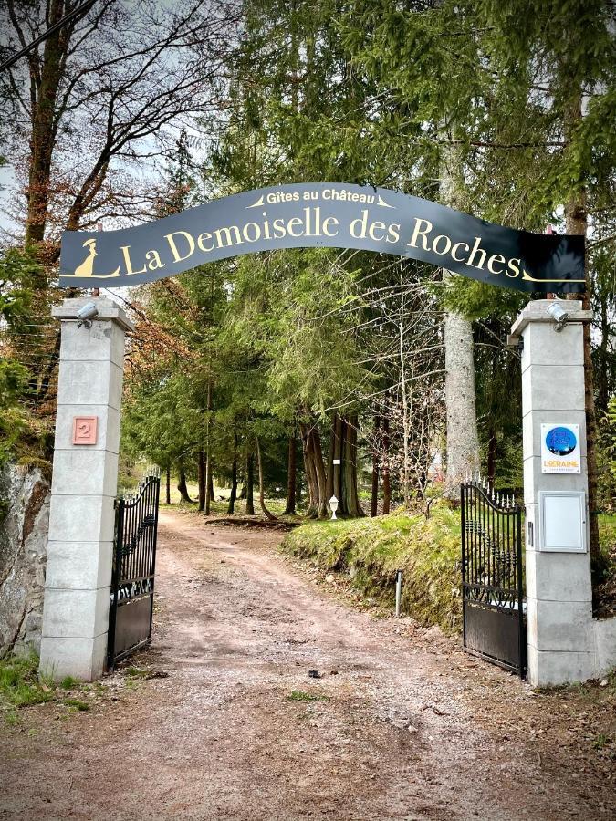 Ferienwohnung Demoiselle des Roches Ramonchamp Exterior foto